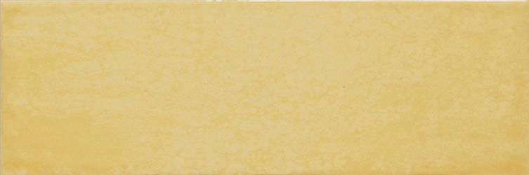 754980 MAIOLICA OCRA 10X30