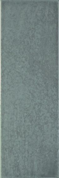 754986 Maiolica Lucidi GRIGIO 10Х30