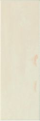 754989 Maiolica Lucidi CREMA 10Х30