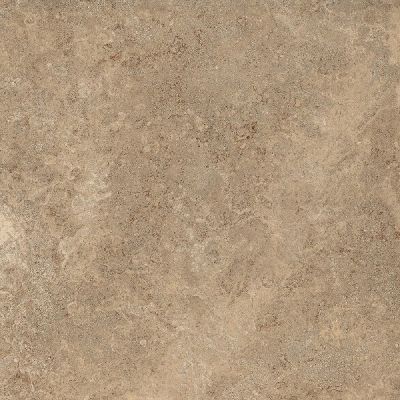 76003 Керамогранит ESEDRA 2.0 NOCE 80x80