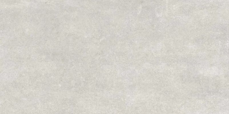 7681 MODENA LIGHT GRAY MATT 60x120