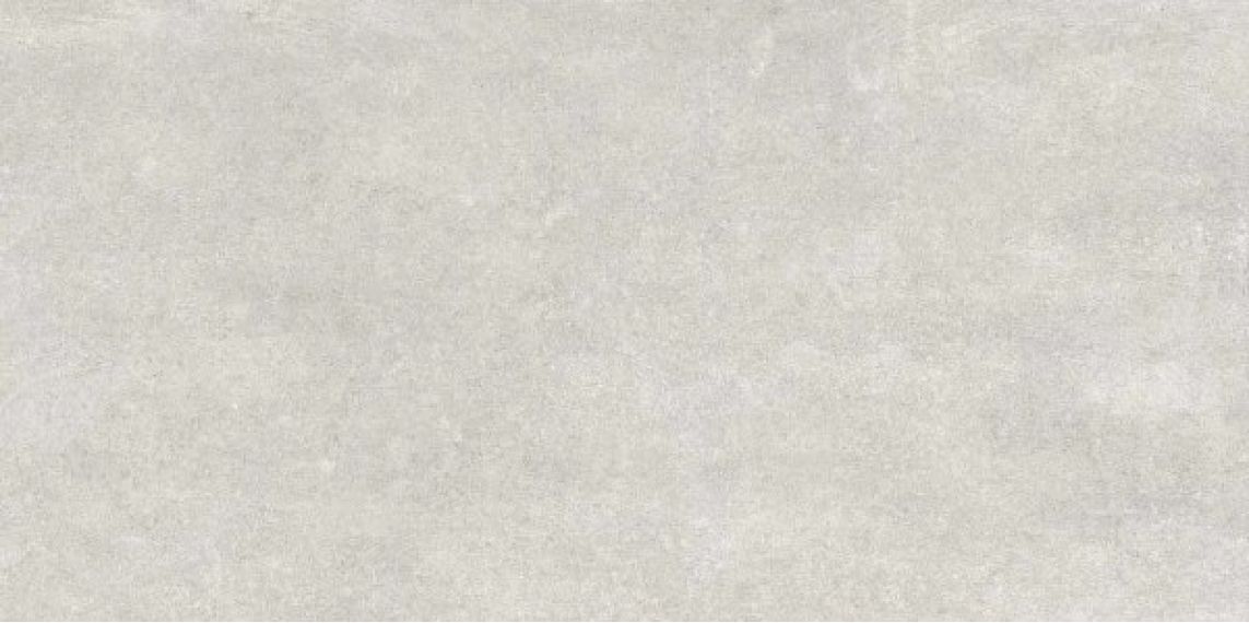 7681 MODENA LIGHT GRAY MATT 60x120