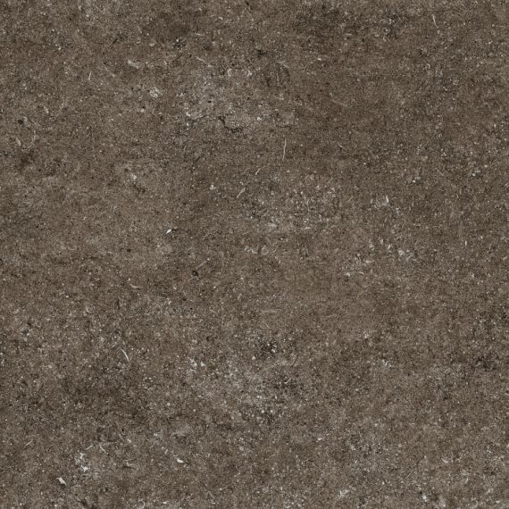768380 Керамогранит Sensi Brown Fossil R+PTV Ret 80x80
