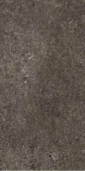 768625 Керамогранит Sensi Brown Fossil Nat Ret 6mm 60x120