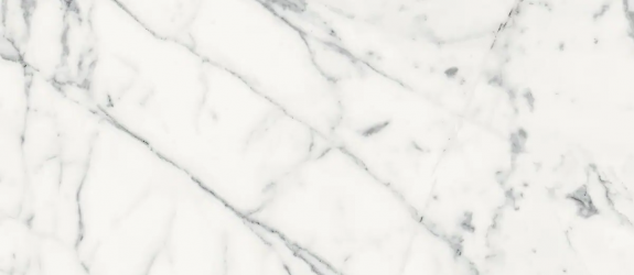 769977 Origines De Rex Blanc Glossy 6mm 120x280