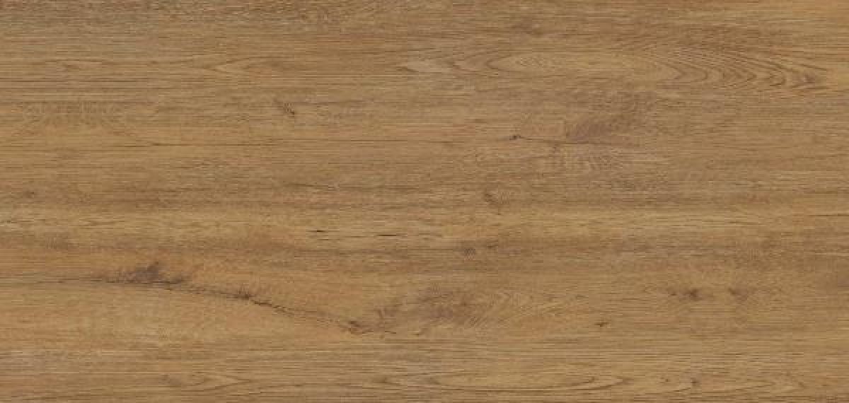 78JG-27 Jungla Iroko 120x260