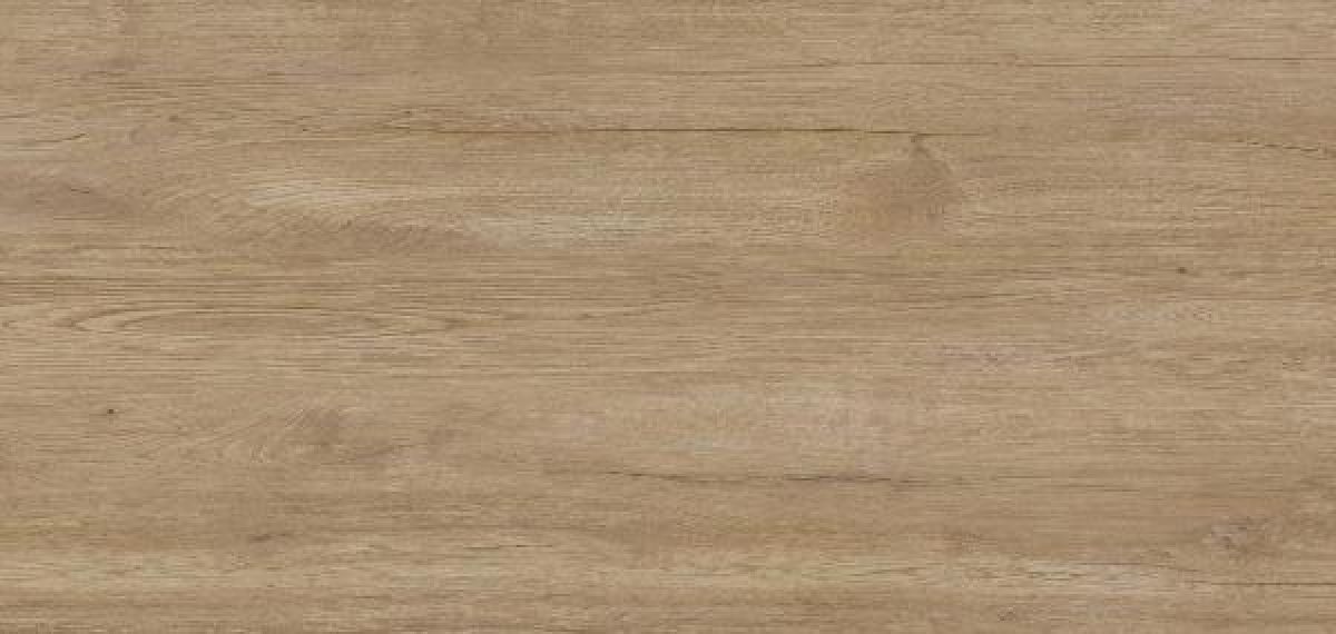 78JG-77 Jungla Roble 120x260