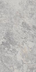 795 Image Silver 60х120