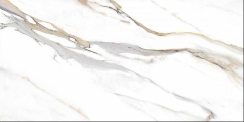 80CL24P Керамогранит Calacata Gold 60x120