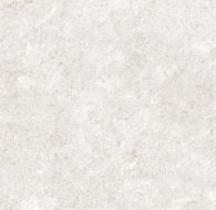 80HM73E Hermitage Arena 120x120