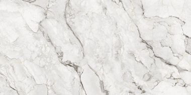 80O134E Керамогранит Camouflage Natural 60x120