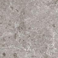 80RC33P Artic Gris Pulido 120x120