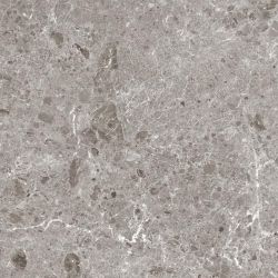 80RC33P Artic Gris Pulido 120x120