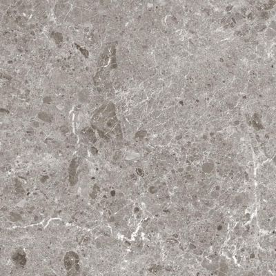 80RC33P Artic Gris Pulido 120x120