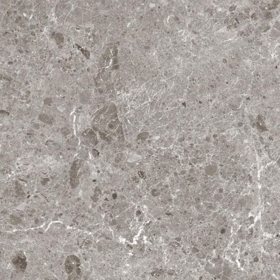 80RC33P Artic Gris Pulido 120x120
