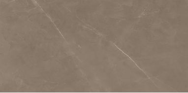 8100 PIETRA ACTIVE GRAY 60x120
