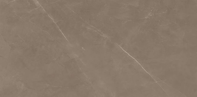 8100 PIETRA ACTIVE GRAY 60x120