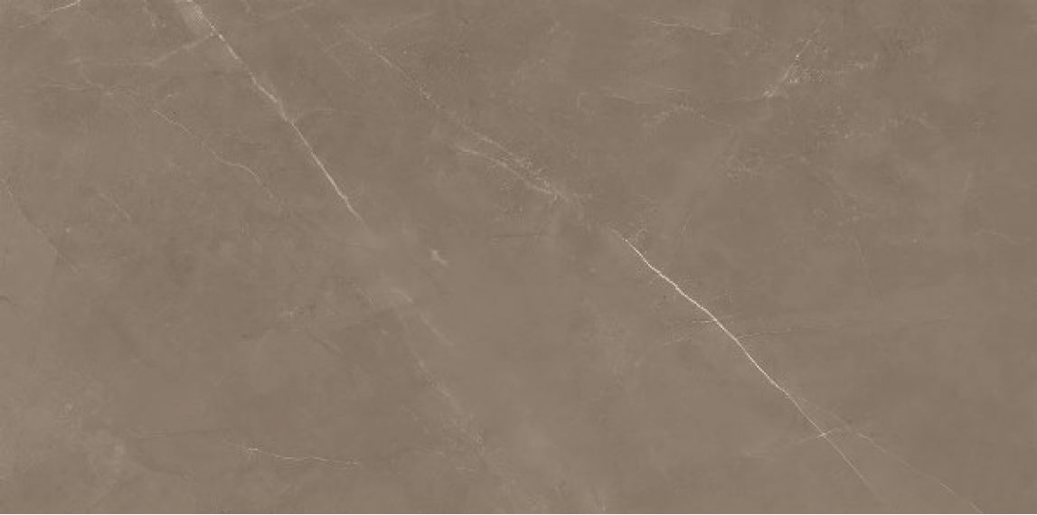 8100 PIETRA ACTIVE GRAY 60x120