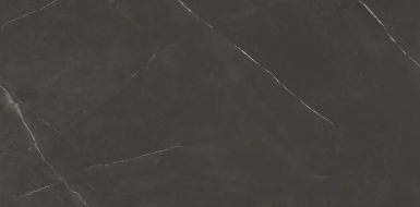8102 PIETRA ACTIVE BLACK 60x120