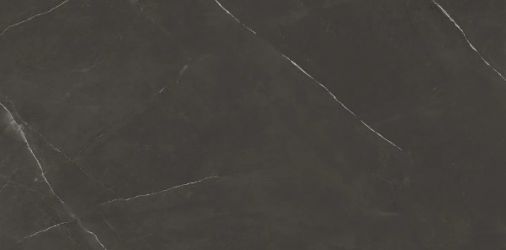 8102 PIETRA ACTIVE BLACK 60x120