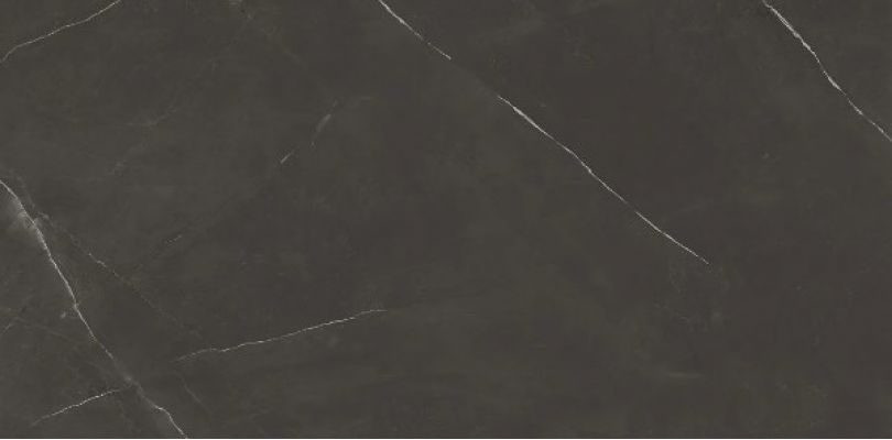 8102 PIETRA ACTIVE BLACK 60x120