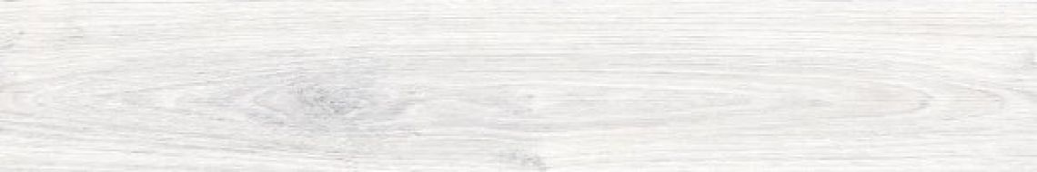 8300 AYAN SILVER 19.5x120