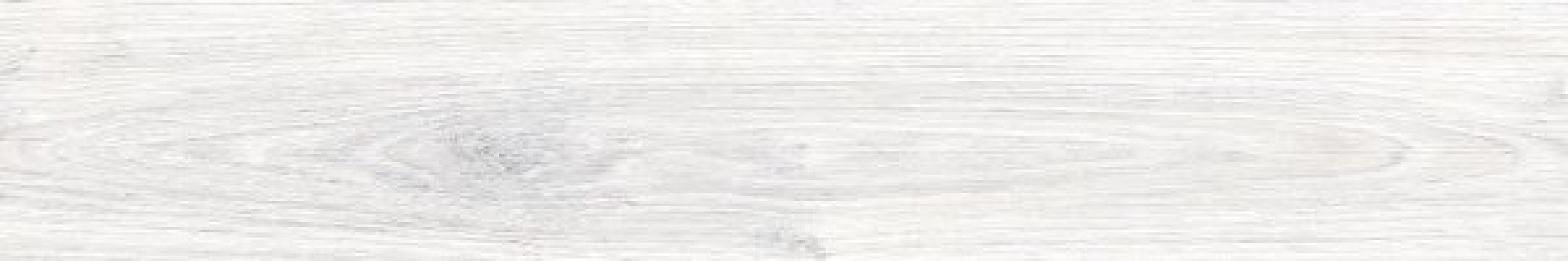 8300 AYAN SILVER 19.5x120
