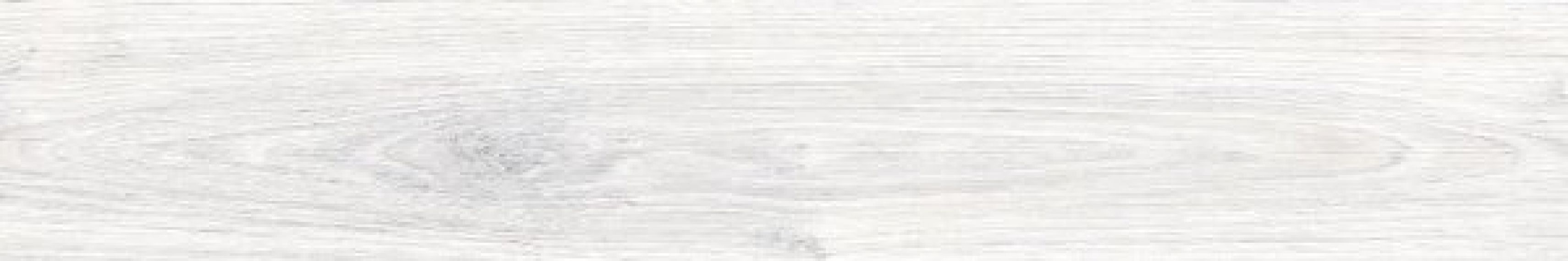 8300 AYAN SILVER 19.5x120