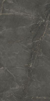 83343 Sybil Black Levigato 60x120