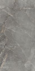 83346 Sybil Silver Levigato 60x120