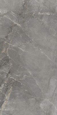 83346 Sybil Silver Levigato 60x120