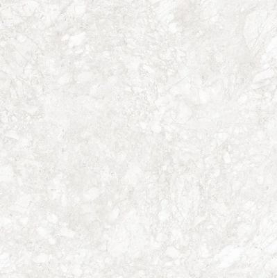 8342 SALINO MOON LIGHT 100x100