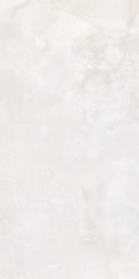 879 Керамогранит Onyx White 120x60