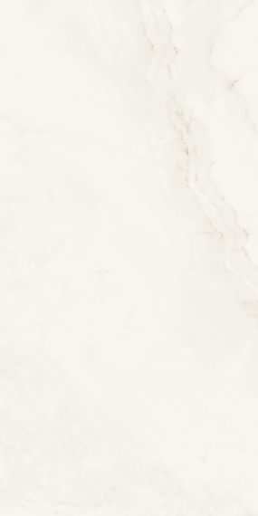 882 Керамогранит Predo Onyx 120x60