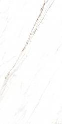 885 Керамогранит Calacatta Caldia 120x60