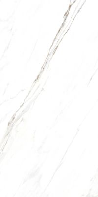 885 Керамогранит Calacatta Caldia 120x60