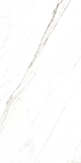 885 Керамогранит Calacatta Caldia 120x60