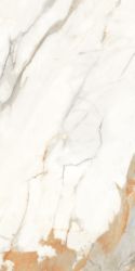 888 Керамогранит Calacatta Gold 120x60