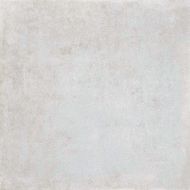 88N8 Lens-R Ceniza 59.3x59.3