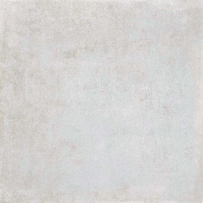 88N8 Lens-R Ceniza 59.3x59.3