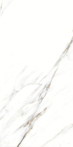 893 Керамогранит Fantastic White 120x60