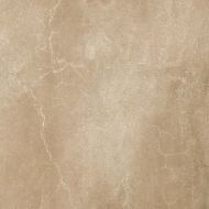 8CC3 AVENUE SIENA 60x60