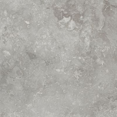 8CG4 BUXI GRIS 60x60
