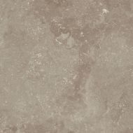 8CG5 BUXI SIENA 60x60