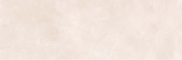 8YF6 GILMORE BEIGE 100x33,3