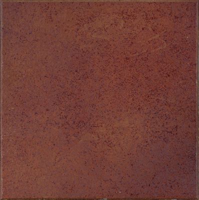 902830 Клинкерная плитка Classic Parma 25x25