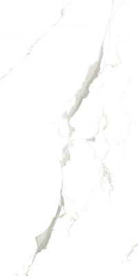 902 Керамогранит Vena Fine Statuario 120x60