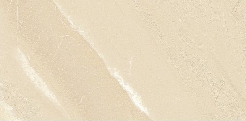 904933 Tibet Smooth Beige 60*120