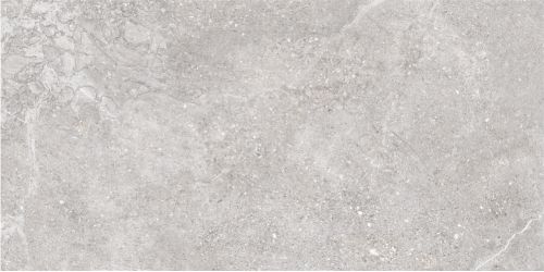 905914 Petra Gris 60x120