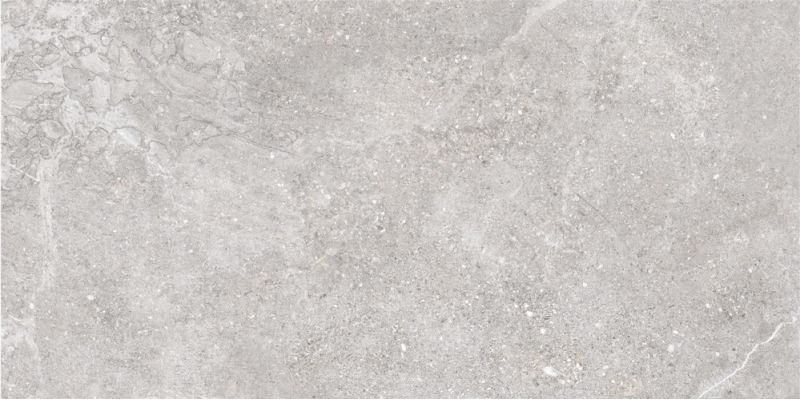 905914 Petra Gris 60x120
